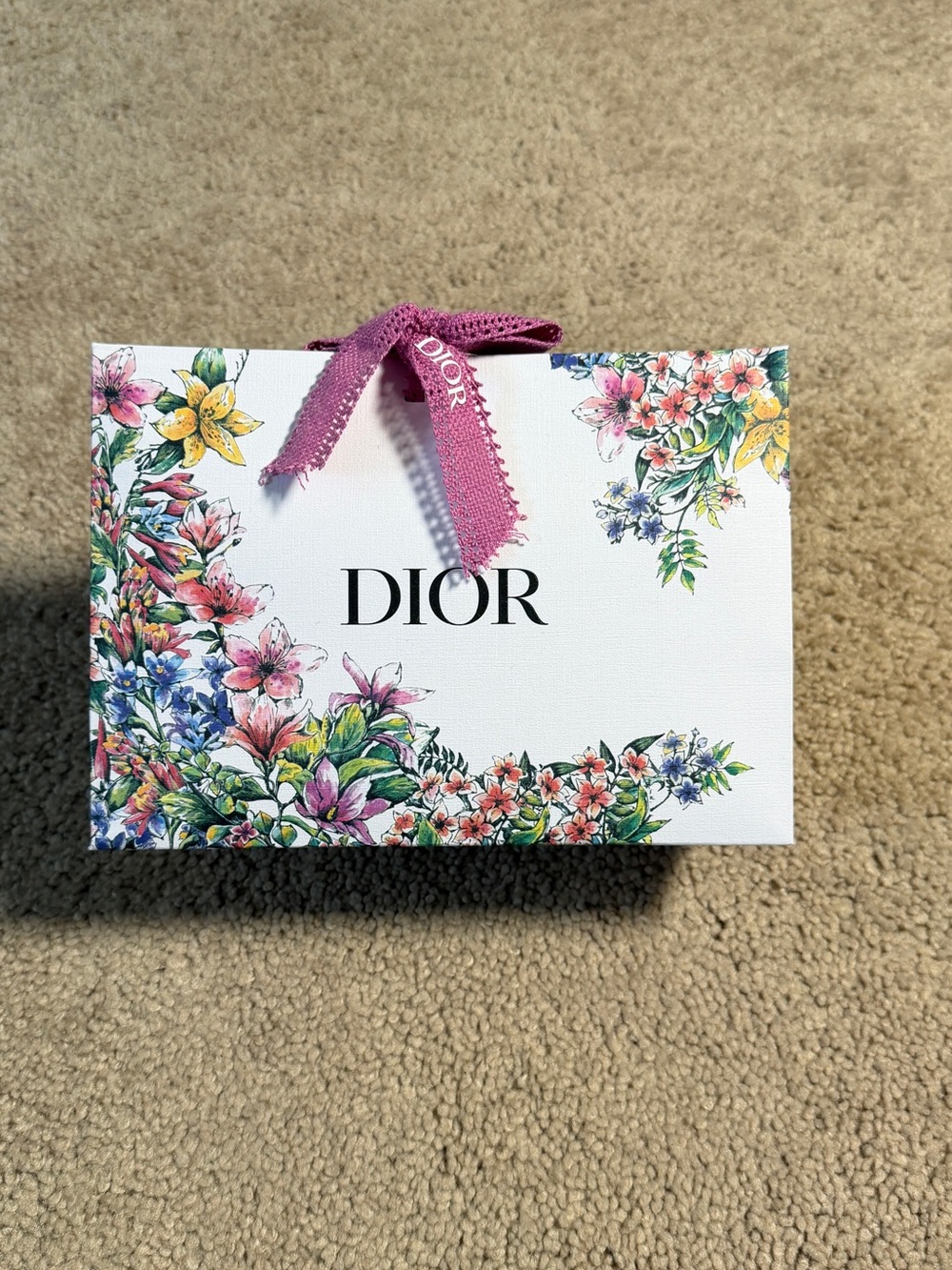 Dior Gift Bag